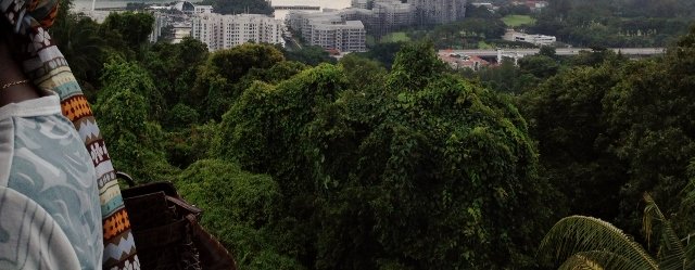 Singapur 323
